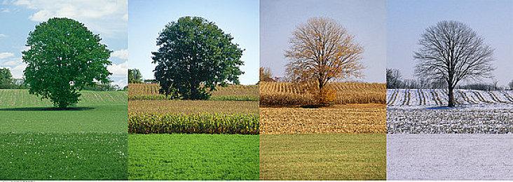 《刺客信条：艾吉奥合集》2月17日登陆Switch平台